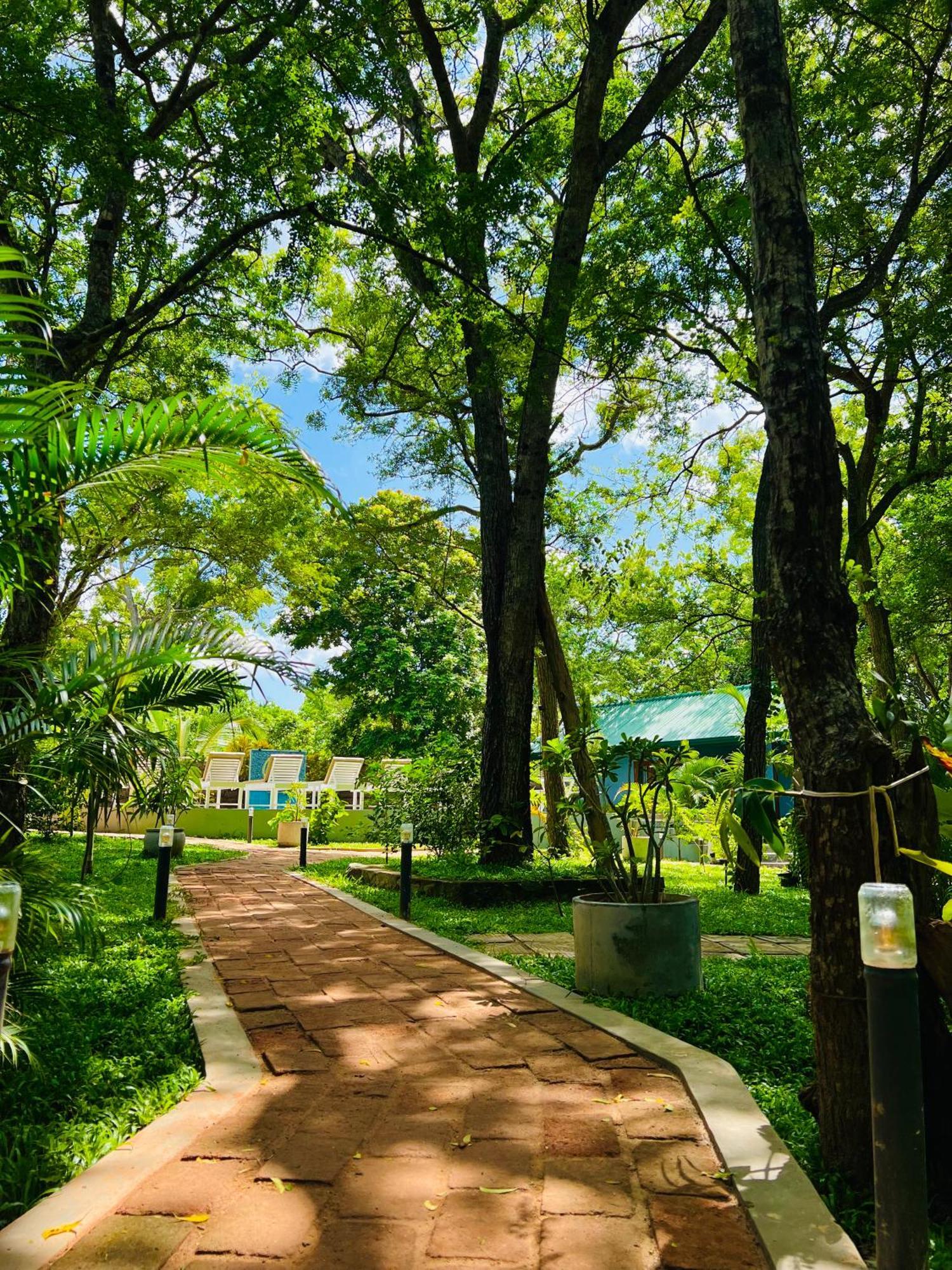 Maritime Nest Cabanas Tangalle Esterno foto